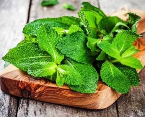 تصویر 2 از قیمت خرید پودر نعناع + فروش ویژه